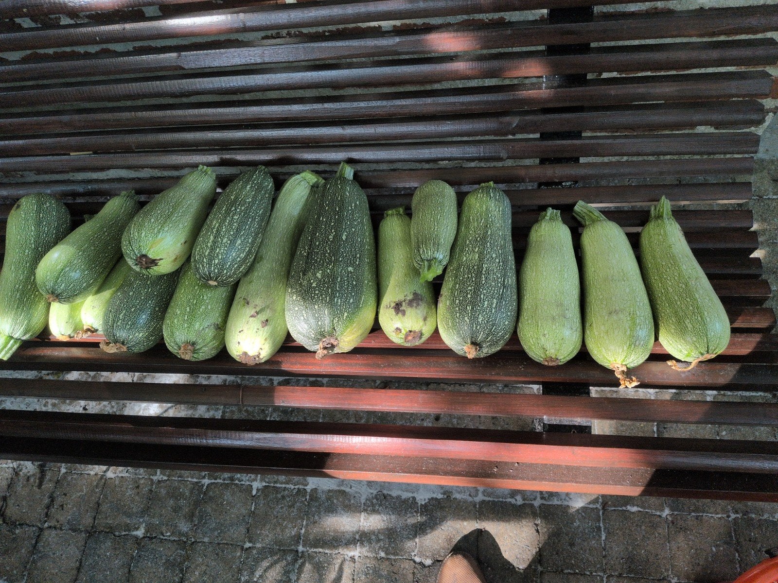 Courgettes, Tuin en Terras, Planten | Tuinplanten, Ophalen