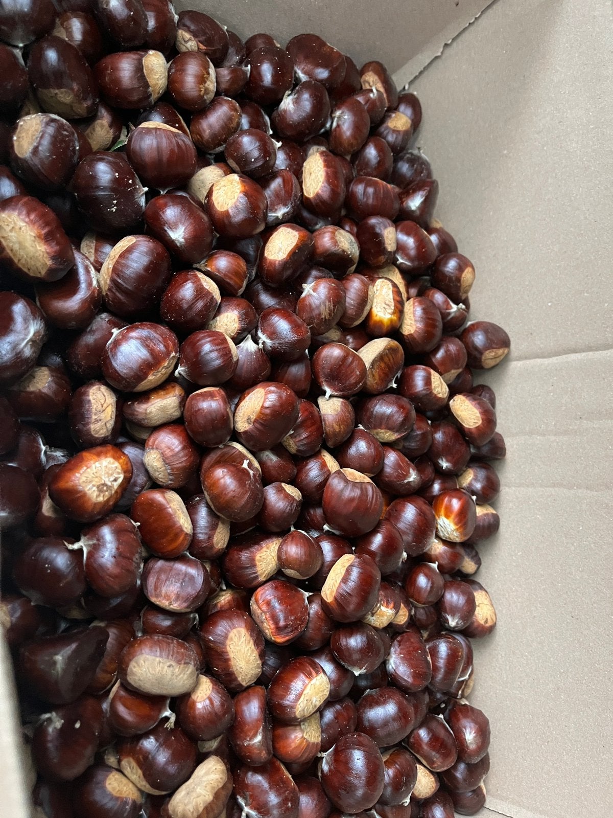 Verse kastanjes 5kg, Diversen, Ophalen