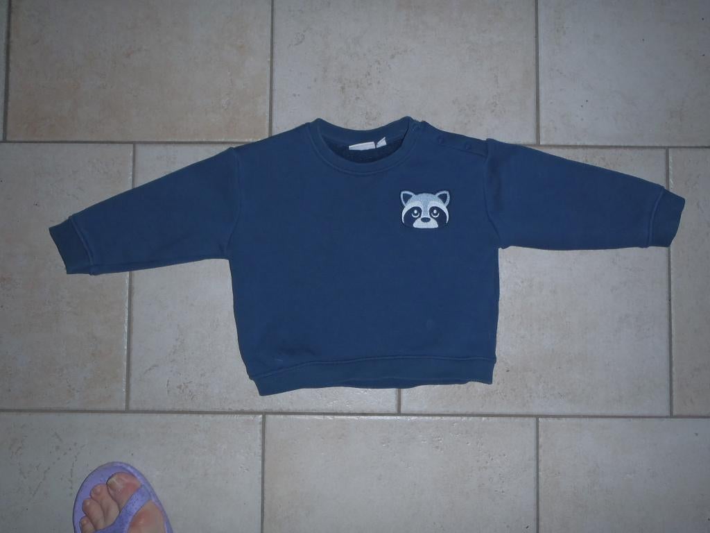 trui maat 80, Kinderen en Baby's, Babykleding | Maat 80, Ophalen of Verzenden, Zo goed als nieuw, Jongetje, Truitje of Vestje