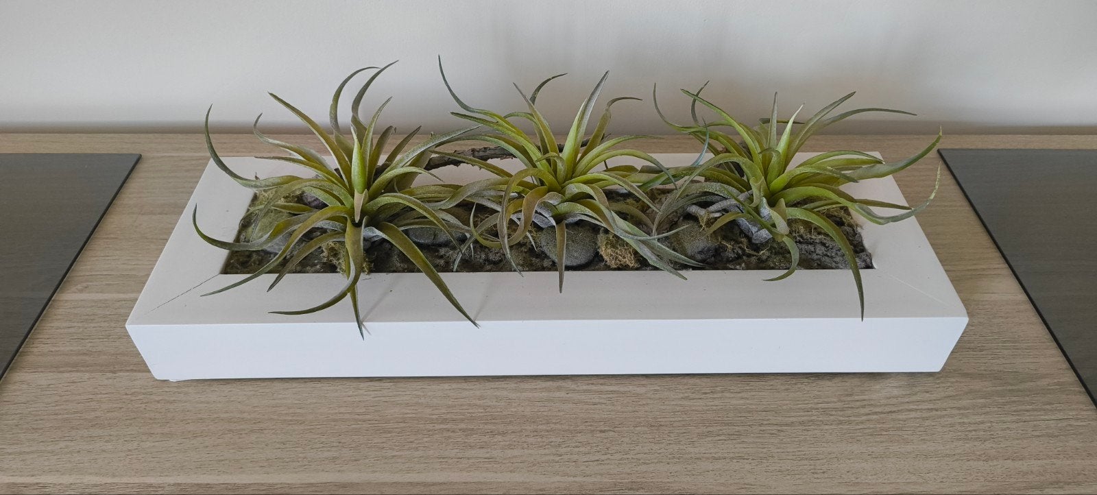 Plante décorative de table en plastique, Enlèvement, Utilisé