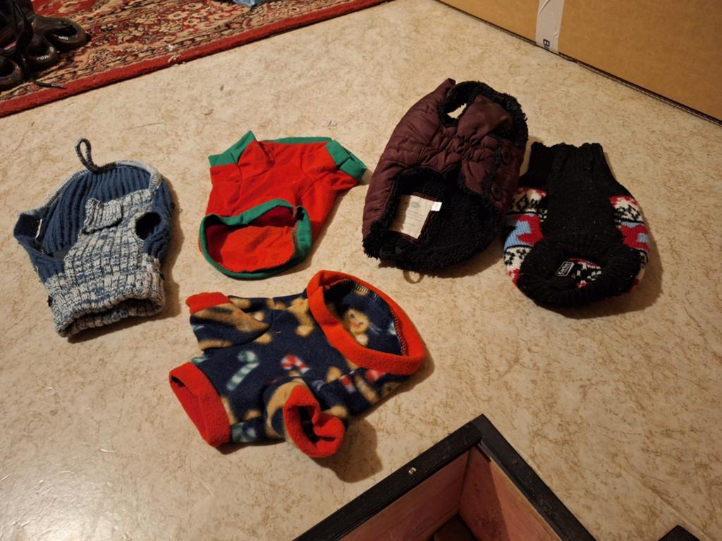 Hondenjasjes 3 euro het stuk, Dieren en Toebehoren, Honden-accessoires, Ophalen