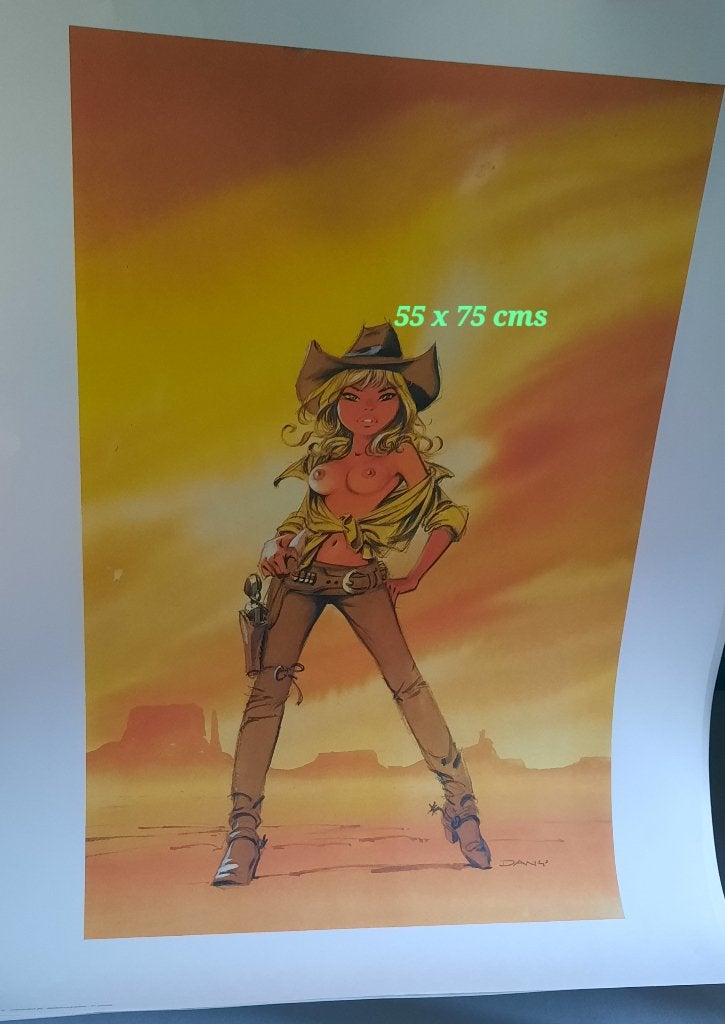 Lot 3 affiches Dany., Enlèvement