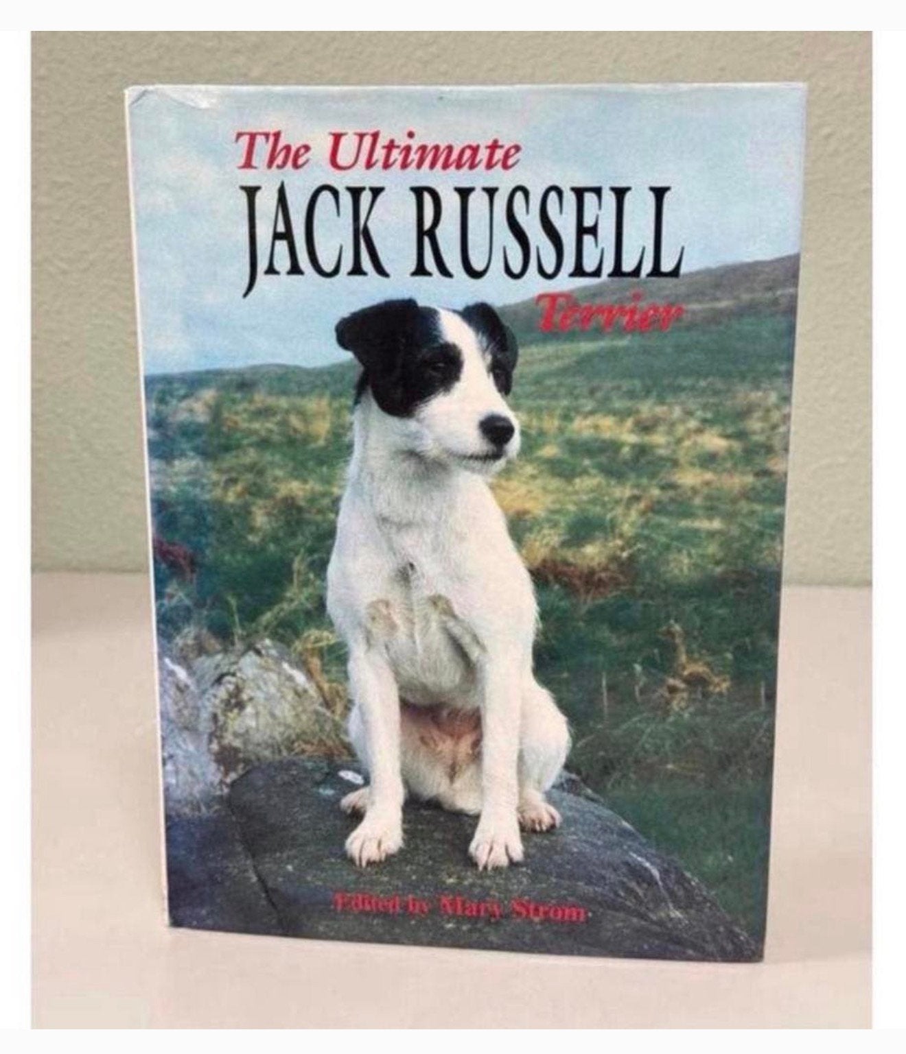 Ultimate Jack Russell Terrier de Mary Strom 1999 hard rigide, Enlèvement ou Envoi, Comme neuf, Chiens