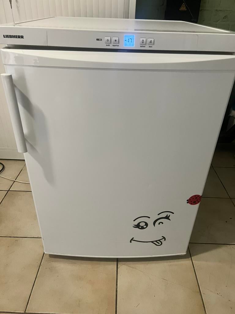 Congélateur Liebherr No Frost, Elektronische apparatuur, Ophalen, Zo goed als nieuw, Vrieskast