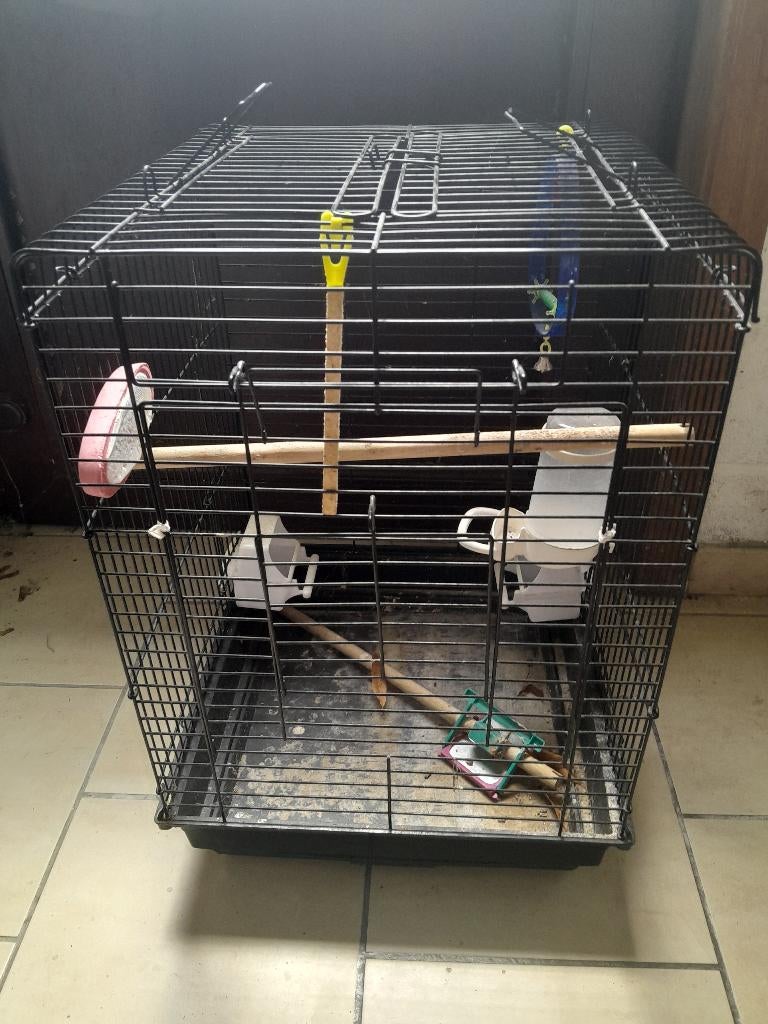 Cage oiseau, Enlèvement, Utilisé, Métal, Cage à oiseaux