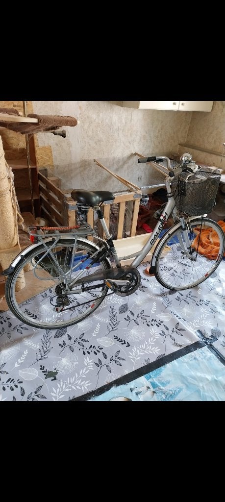 raleigh, Ophalen, Jaren '60 of nieuwer, Velgrem, Autre