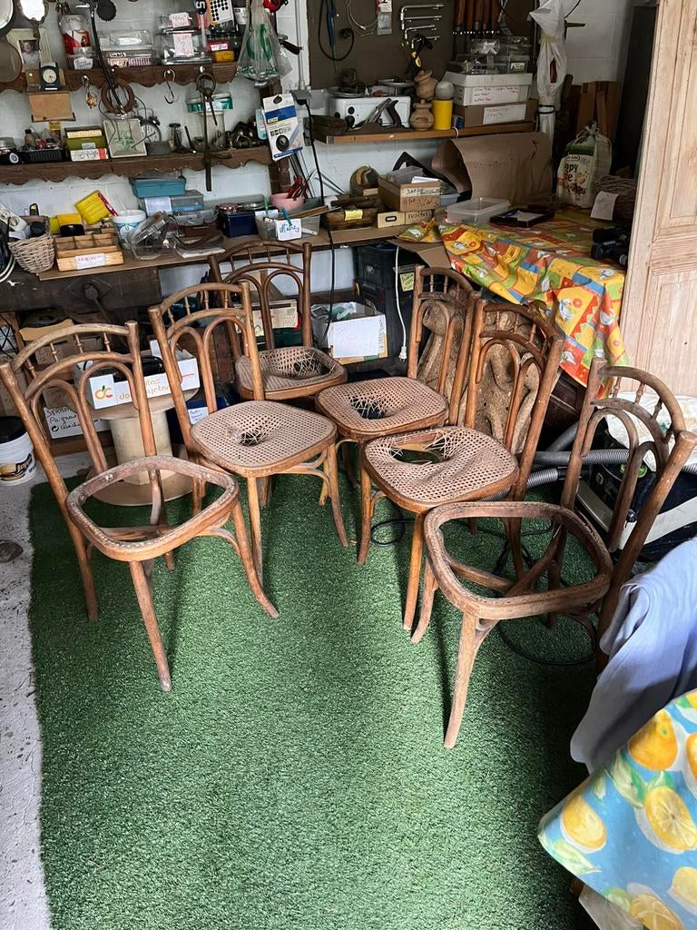 Lot de 6 chaises tonet, Enlèvement, Comme neuf, Une