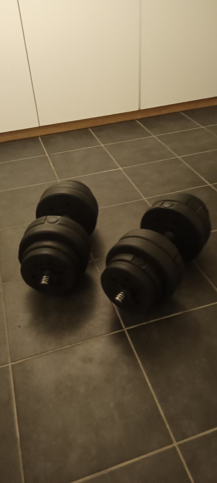 dumbell halter set 30kg, Ophalen of Verzenden, Nieuw