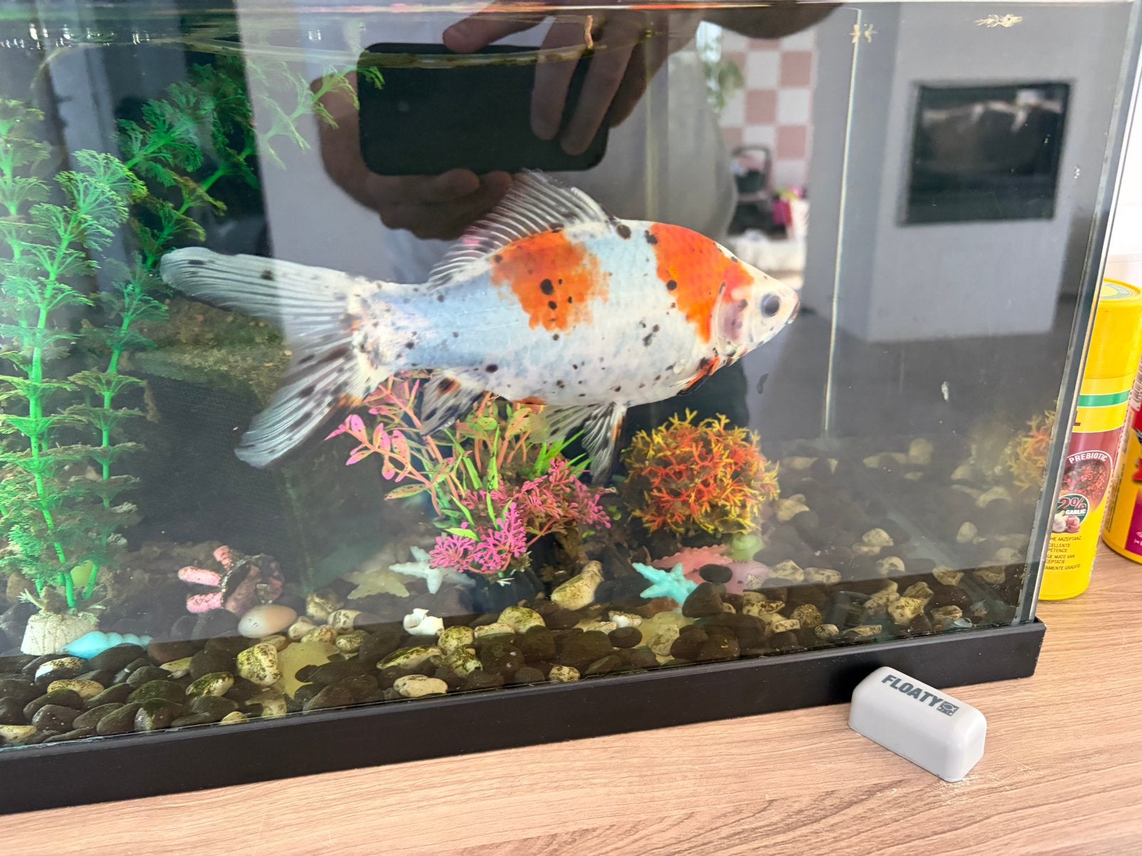 Poisson a donner, Ophalen, Zo goed als nieuw