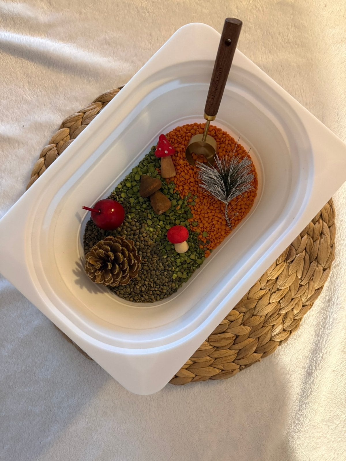 Speelrijst sensory table, Ophalen, Nieuw