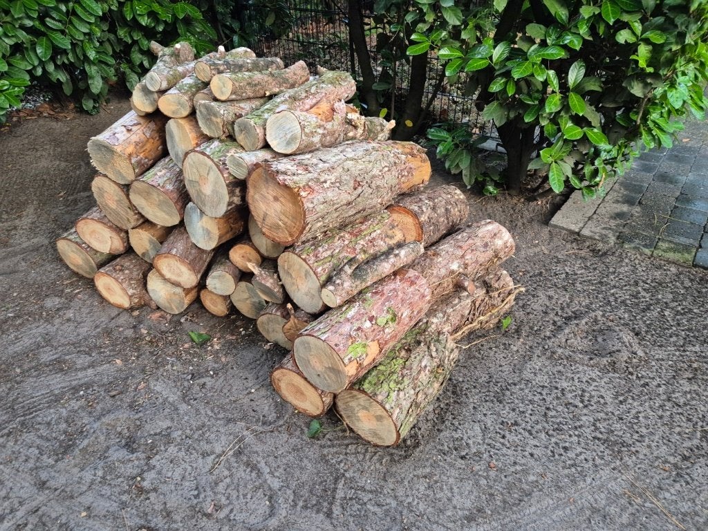 Stookhout / kachel hout / stammen / stamhout, Moins de 3 m³, Enlèvement, Troncs d'arbres