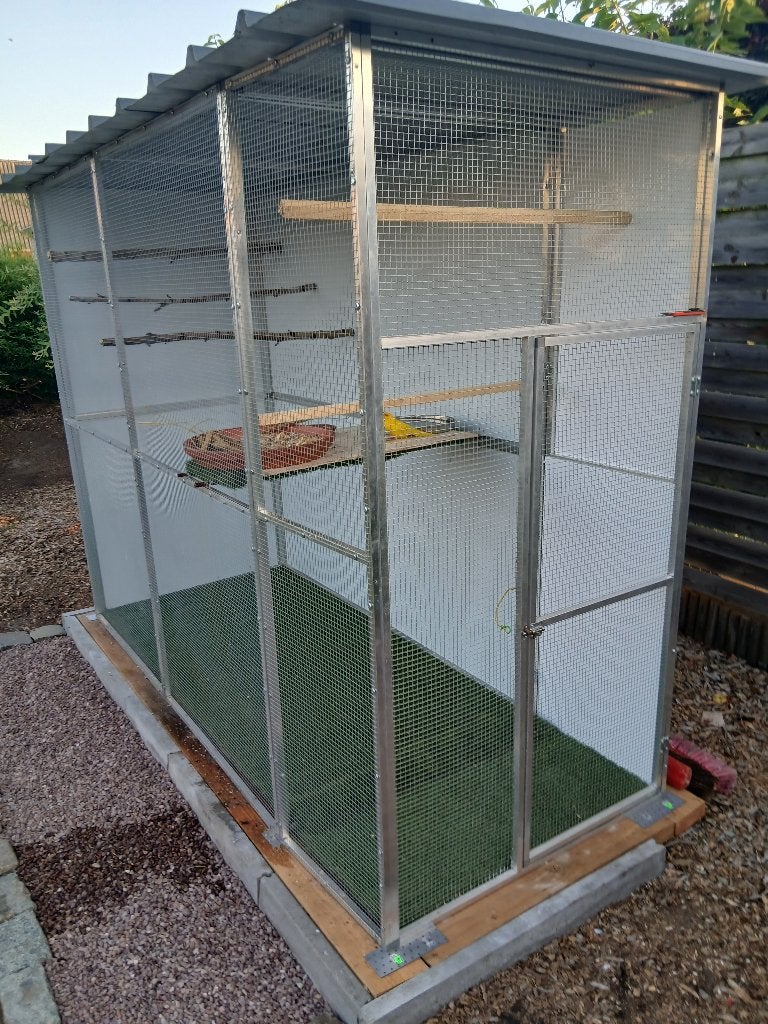 voliere is 3 maand oud &  koppel halsbandparkieten te koop, Dieren en Toebehoren, Meerdere dieren, Parkiet, Geringd