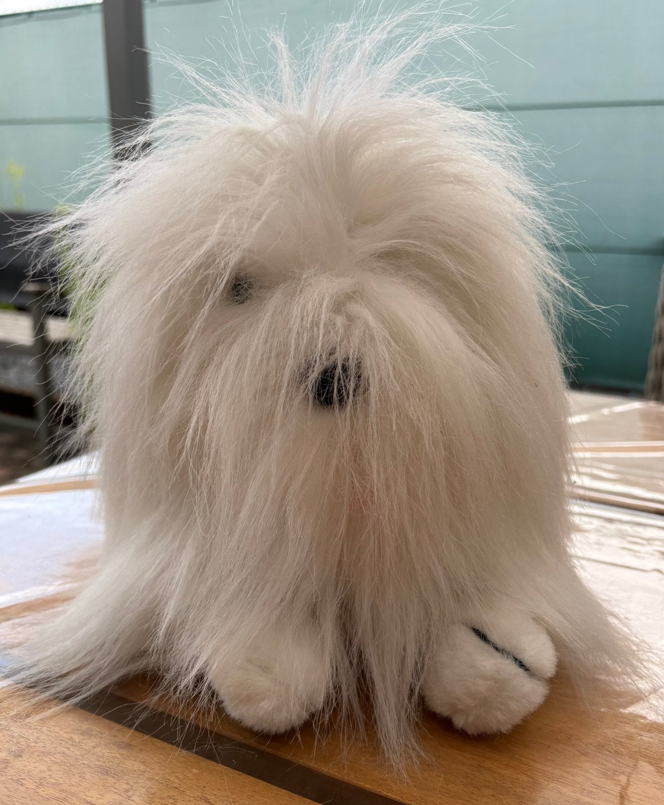 Eenogige Maltezer knuffel 42 cm lang, Enlèvement ou Envoi, Overige karakters, Chien, Blanc