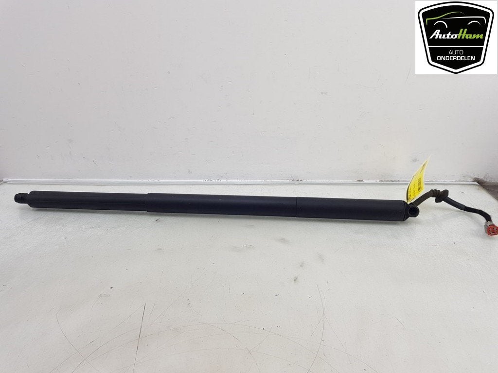 ACHTERKLEP MOTOR Ford Puma (|L1TBS404C84AA|2404605|), Gebruikt, Ford, Achterklep