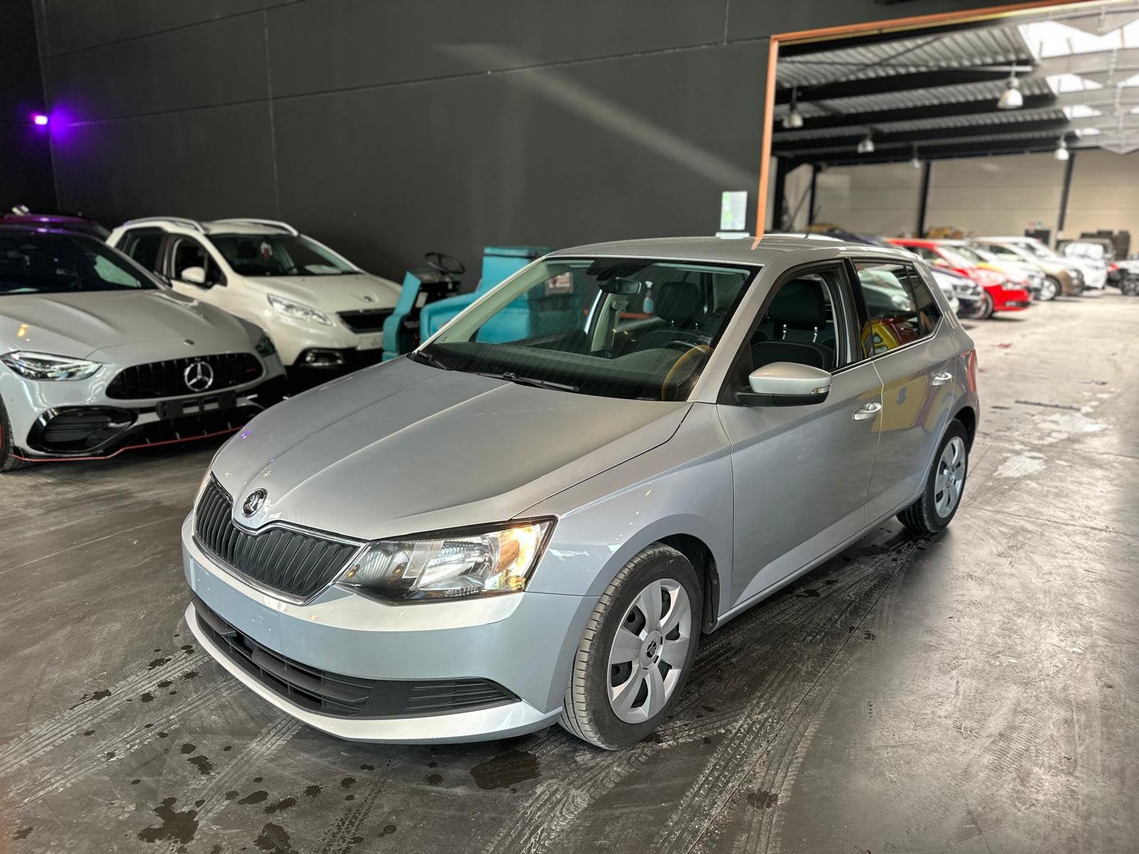 SKODA FABIA, Auto's, Skoda, Voorwielaandrijving, Stof, Euro 6, Bedrijf