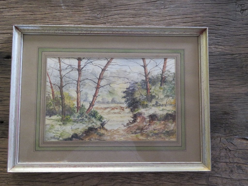 Aquarelle sur papier vue de forêt 1972 Cooymans, Antiquités & Art, Art | Peinture | Classique, Enlèvement ou Envoi, Signé, Aquarelle