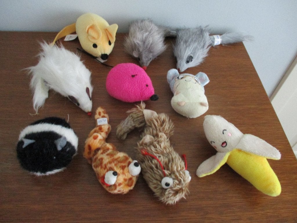 speelgoed voor katten, Dieren en Toebehoren, Ophalen of Verzenden, Zo goed als nieuw