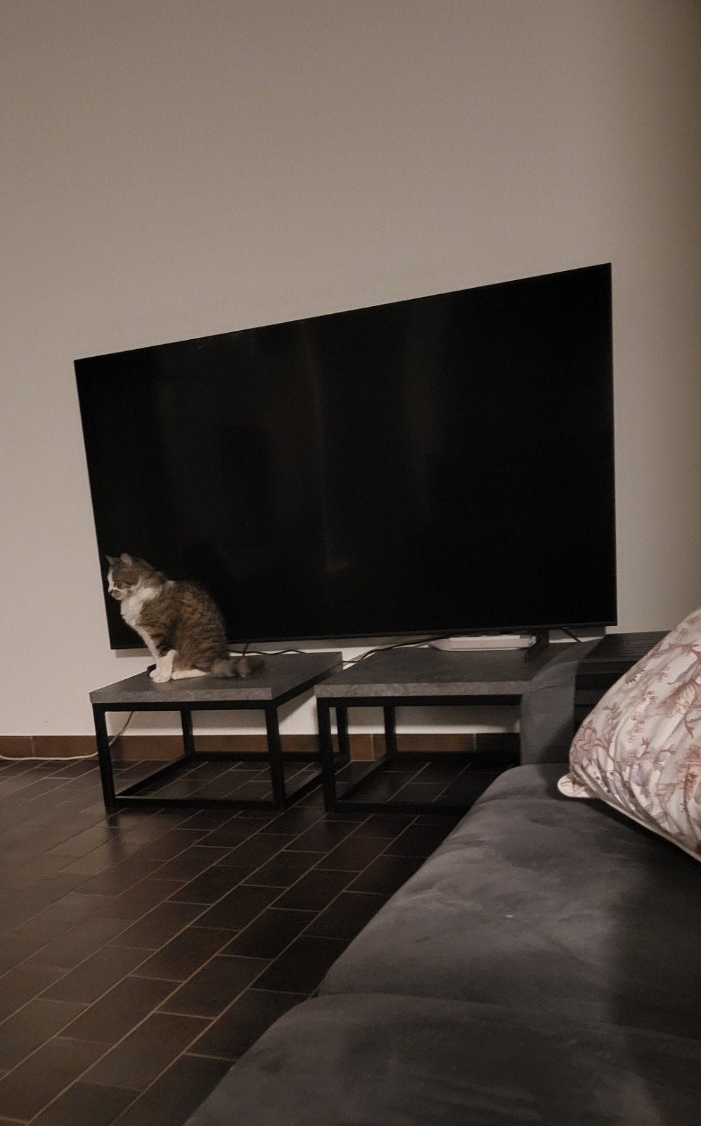 TV Samsung QLED 65" 4K Q60B – 163 cm – avec carton + facture, Audio, Tv en Foto, Televisies, Ophalen, QLED, Samsung