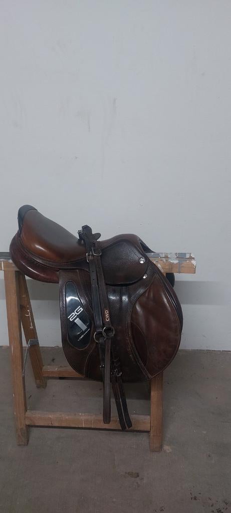 Zadel cwd 2gs incl. Borsttuig cwd, Enlèvement