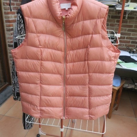 Bodywarmer oudroze Escada mt 46, Vêtements | Femmes, Blousons sans Manches, Neuf, Taille 46/48 (XL) ou plus grande, Enlèvement ou Envoi