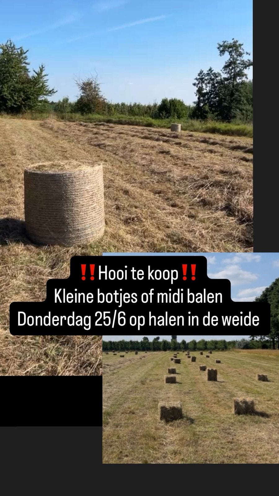 Hooi, Dieren en Toebehoren, Dierenvoeding, Ophalen