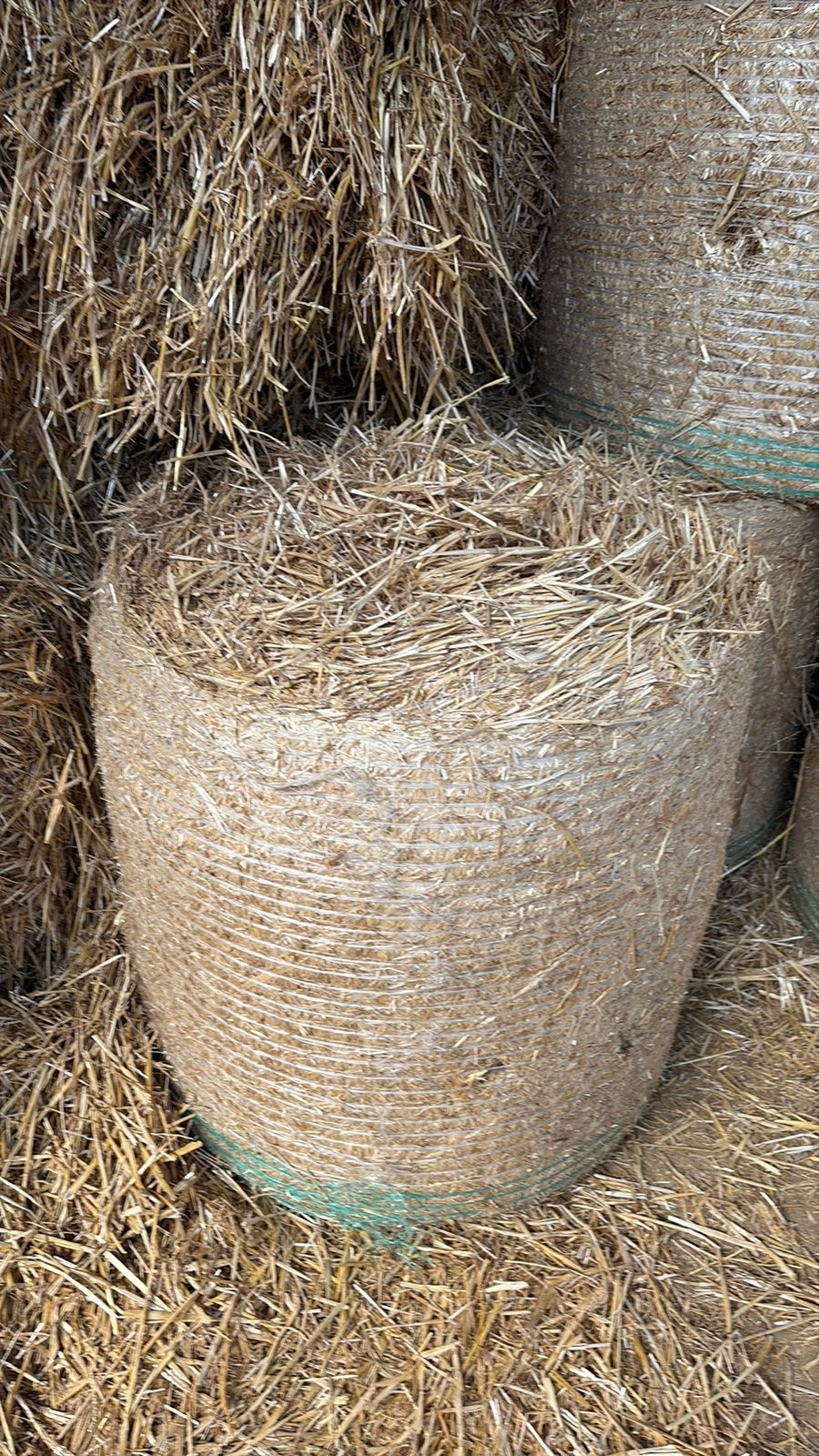 Midibalen tarwestro, Dieren en Toebehoren, Ophalen