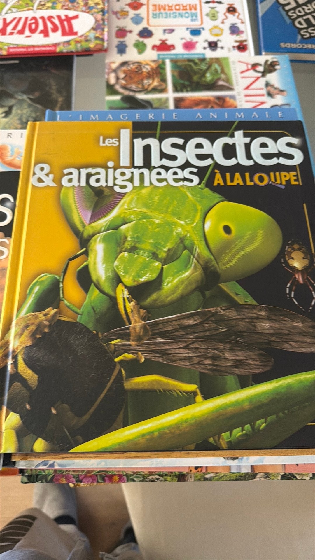 Les insectes et araignées , à la loupe, Enlèvement ou Envoi, Comme neuf