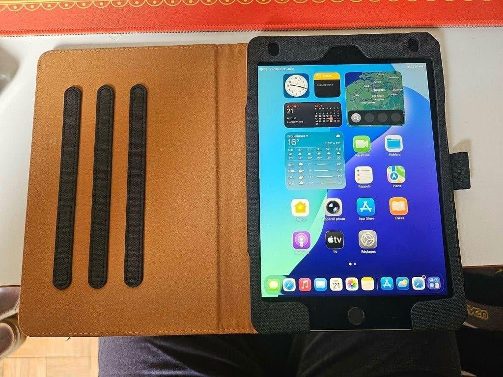 iPad mini 5e génération, Informatique & Logiciels, Enlèvement, Utilisé
