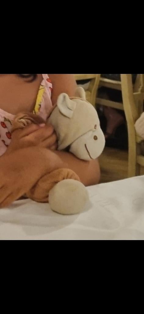 Knuffel gezocht €100, Ophalen, Gebruikt