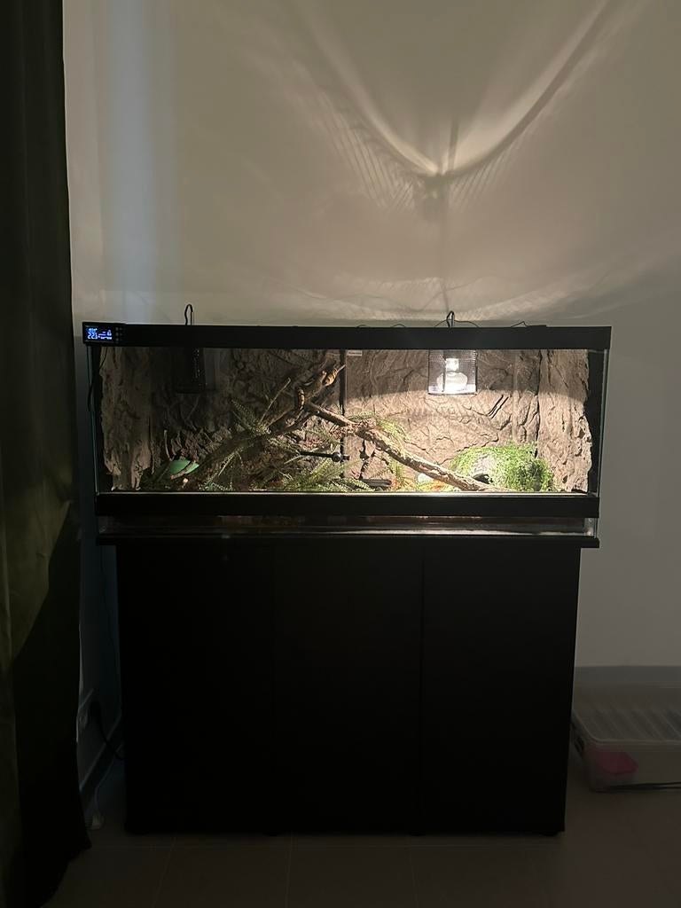 Glazen terrarium met pastel slang mogelijk, Animaux & Accessoires, Reptiles & Amphibiens | Accessoires, Enlèvement, Comme neuf