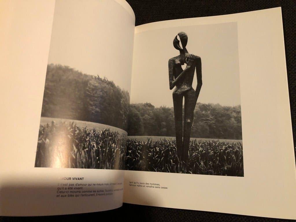 Kunstboek Amilcar Zannoni - Andre Flament, Gelezen, Beeldhouwkunst, Andre Flament, Ophalen of Verzenden