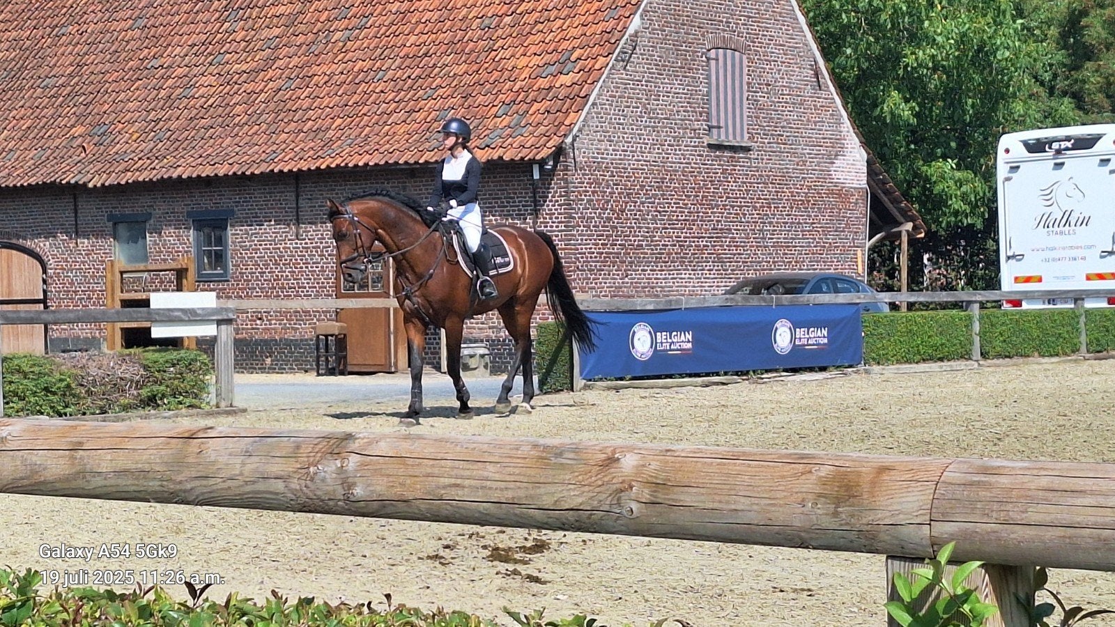 6th Garden Warrant x Heartbreaker, Animaux & Accessoires, Hongre