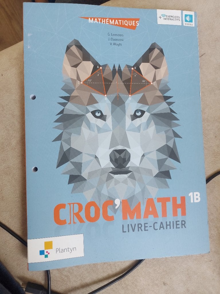 Livre Croc'Math 1B, Livres, Enlèvement ou Envoi, Neuf, Secondaire, Mathématiques B
