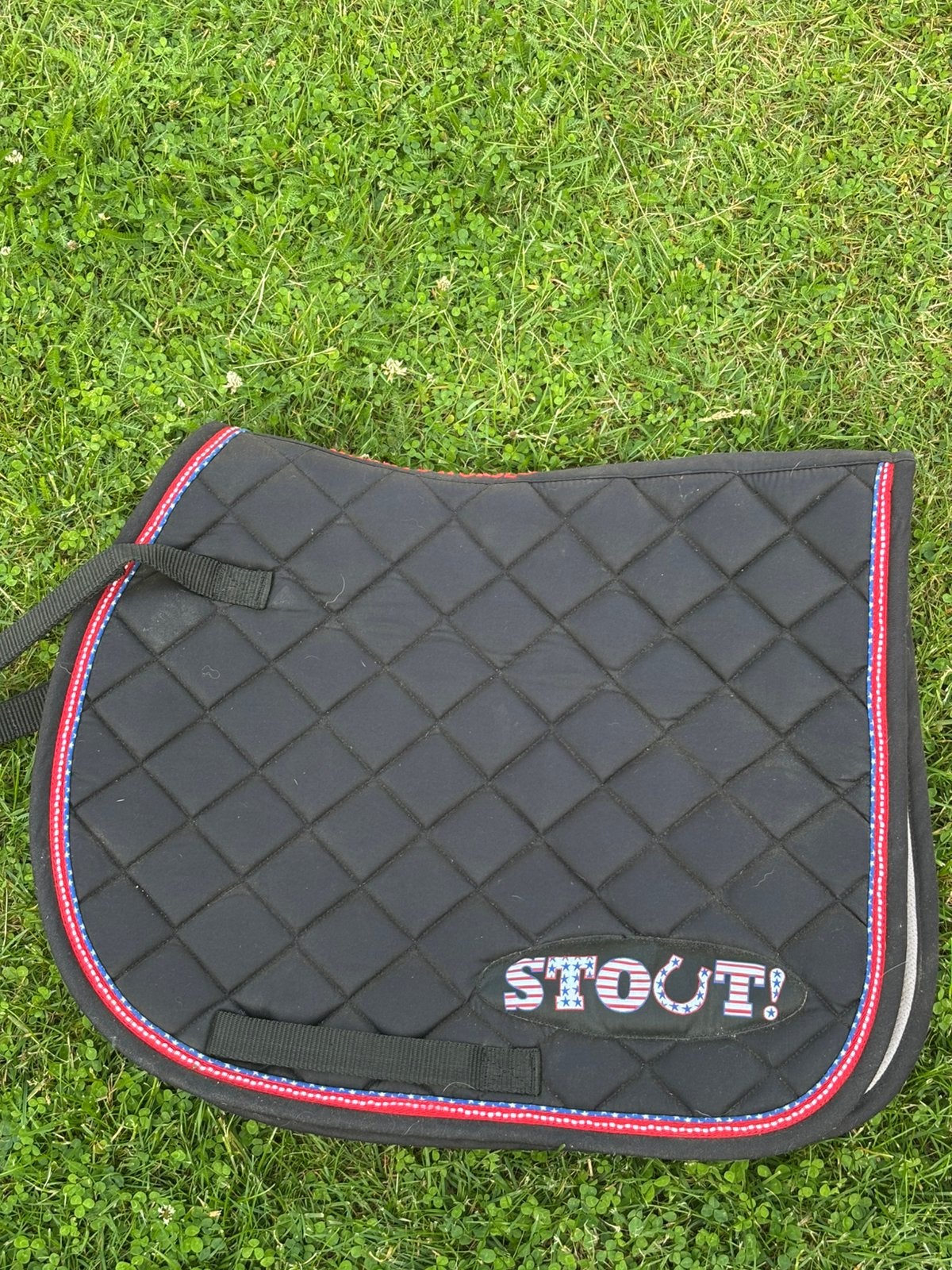 Shetlander dekje te koop‼️, Dieren en Toebehoren, Ophalen of Verzenden, Zo goed als nieuw