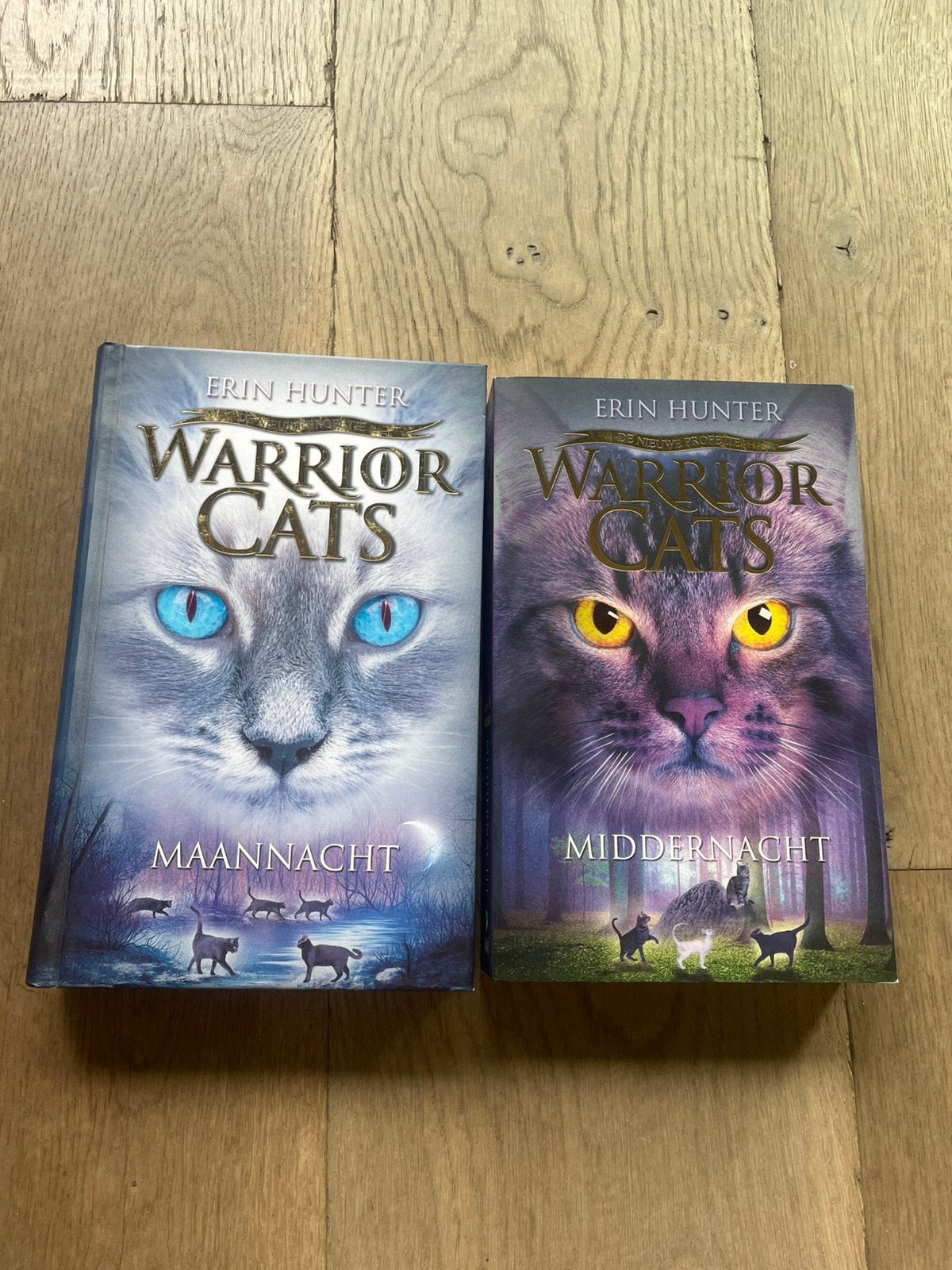 Warrior cats 2 leesboeken, Ophalen, Zo goed als nieuw