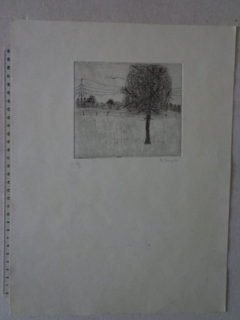 ets K. Ivens "Grote boom en hoogspanningsleiding" 1976, Ophalen of Verzenden, Landschap, Genummerd, 1950 - 1999
