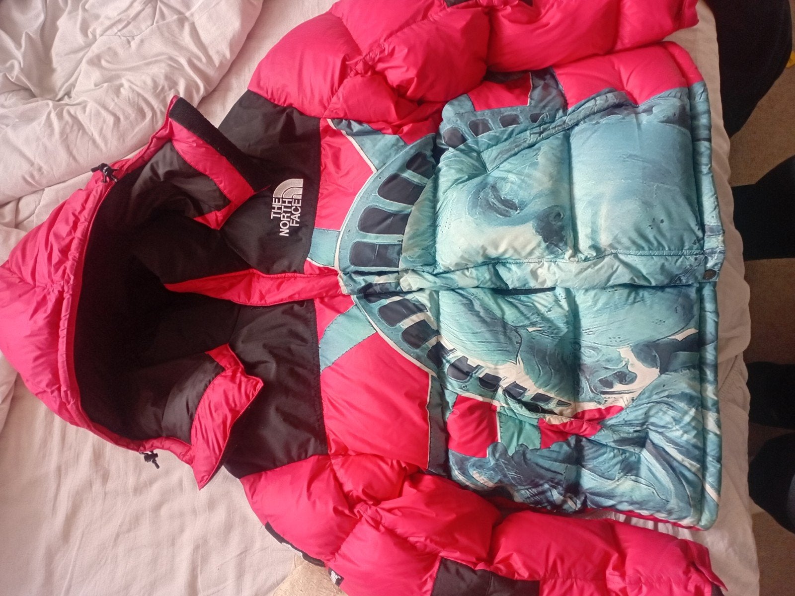 Supreme x The North Face rouge L, Enlèvement, Comme neuf