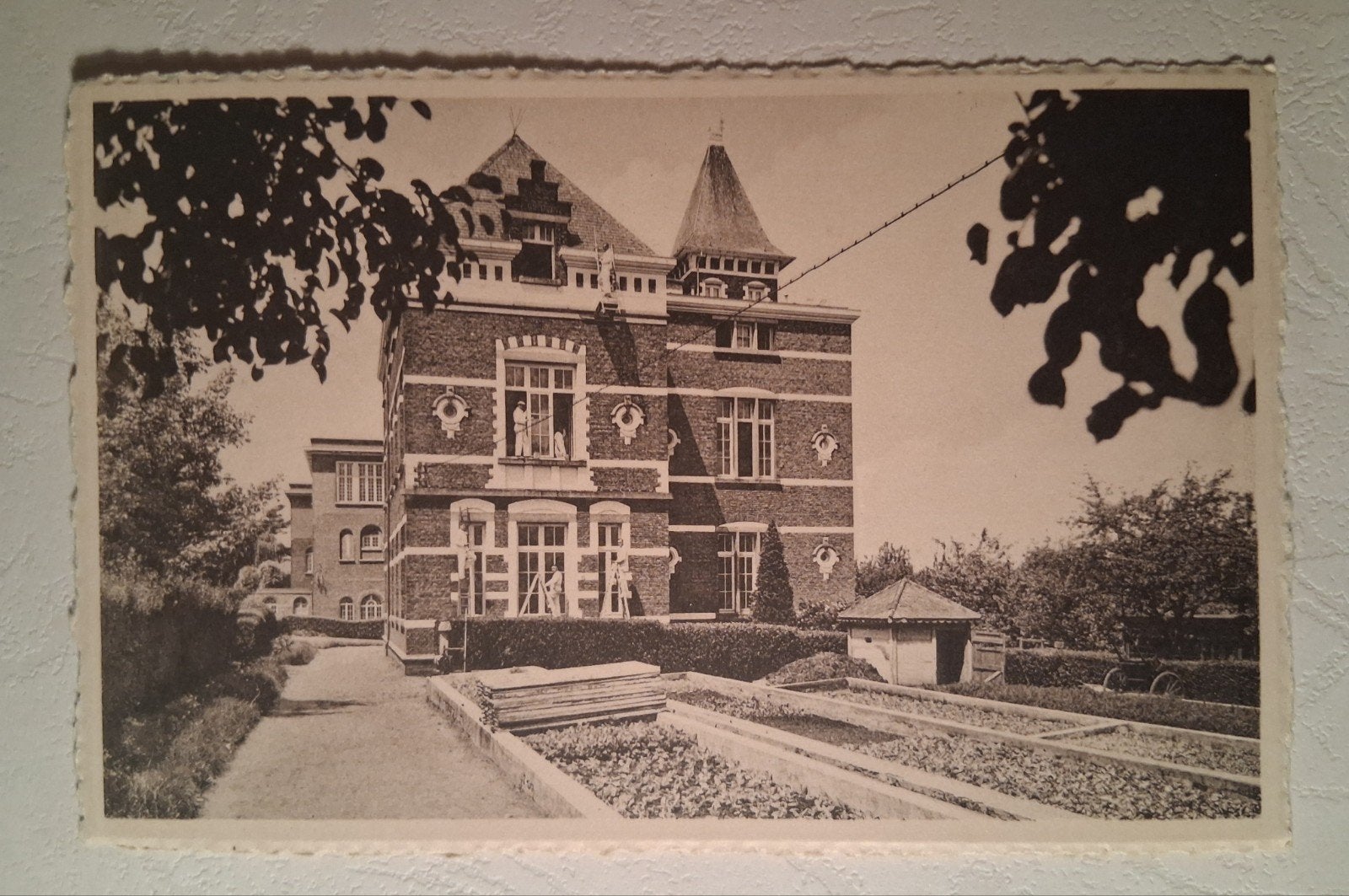 vintage Postkaart Dave Etat, Enlèvement ou Envoi
