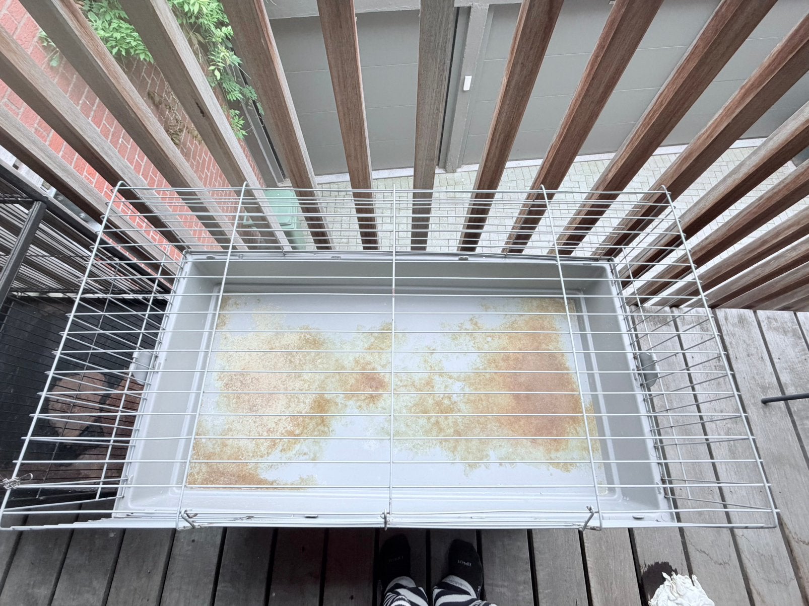 CLAPIER À LAPINS À VENDRE !, Animaux & Accessoires, Rongeurs & Lapins | Cages & Clapiers, Comme neuf, Cage, 60 à 90 cm, 75 à 110 cm