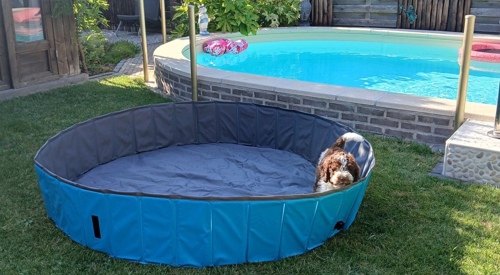 Hondenzwembad Horta, Dieren en Toebehoren, Honden-accessoires, Ophalen