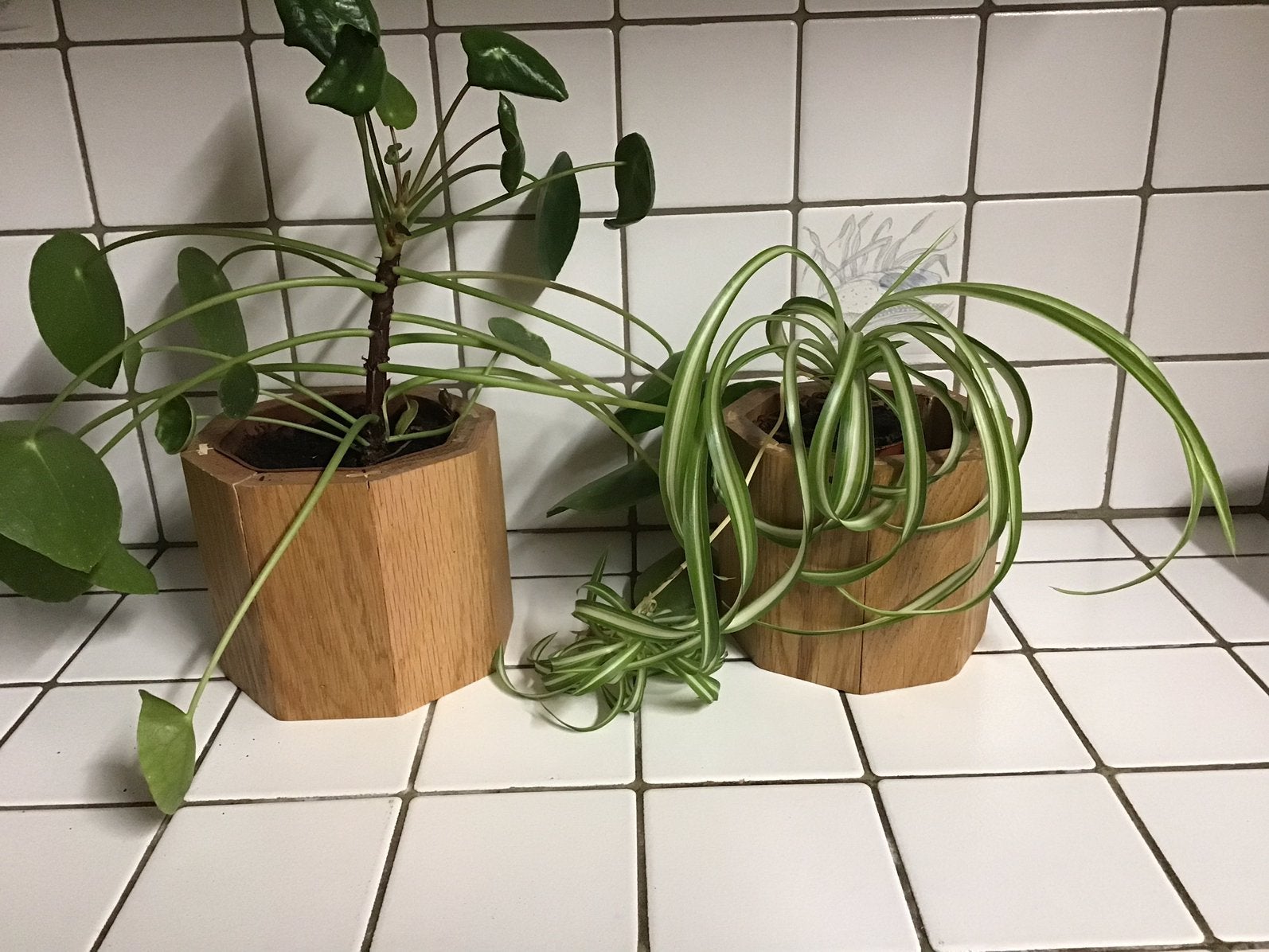 2 handgemaakte eikenhouten cachepots, Ophalen of Verzenden