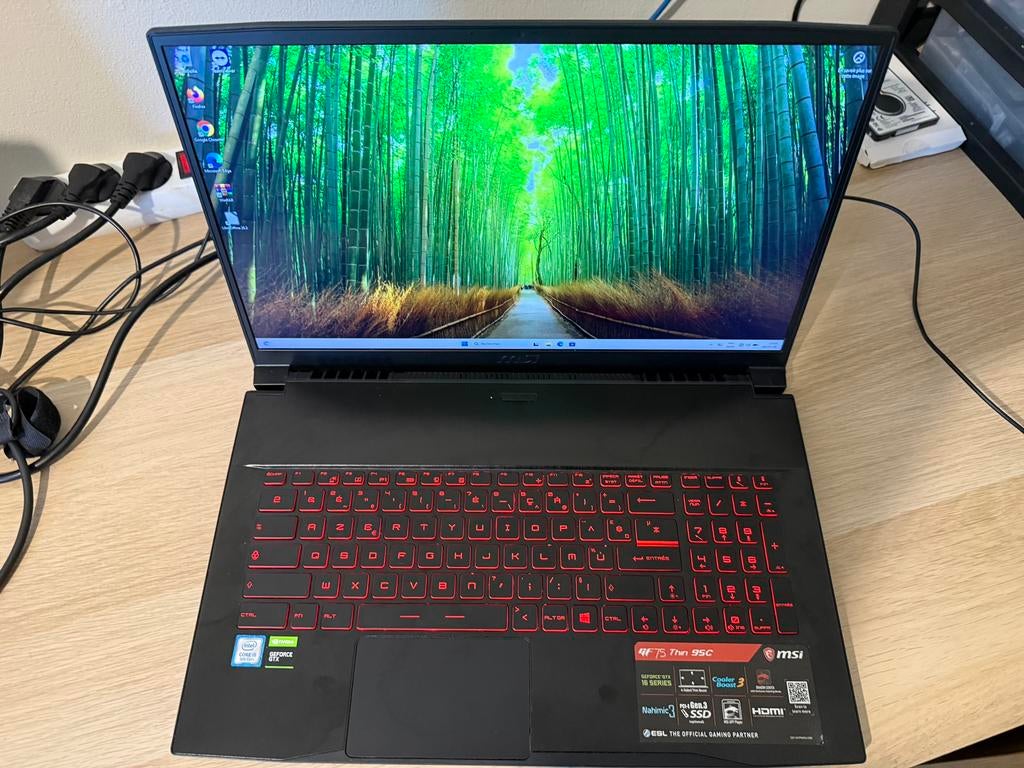 MSI GF75 Thin 9SC – 17,3" Gaming Laptop – GTX 1650, 17 pouces ou plus, Reconditionné, Enlèvement, Gaming