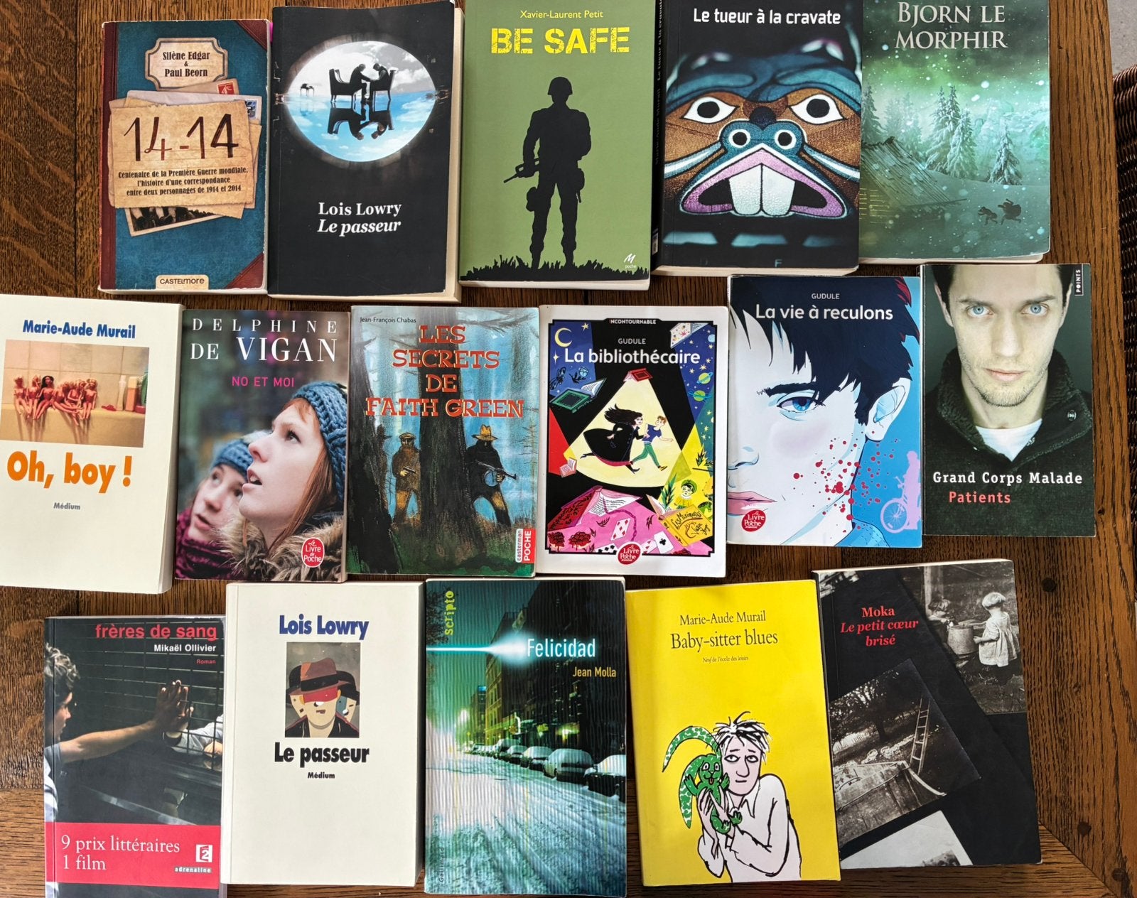 Lot de lectures scolaires enseignement secondaire, Livres, Enlèvement, Comme neuf