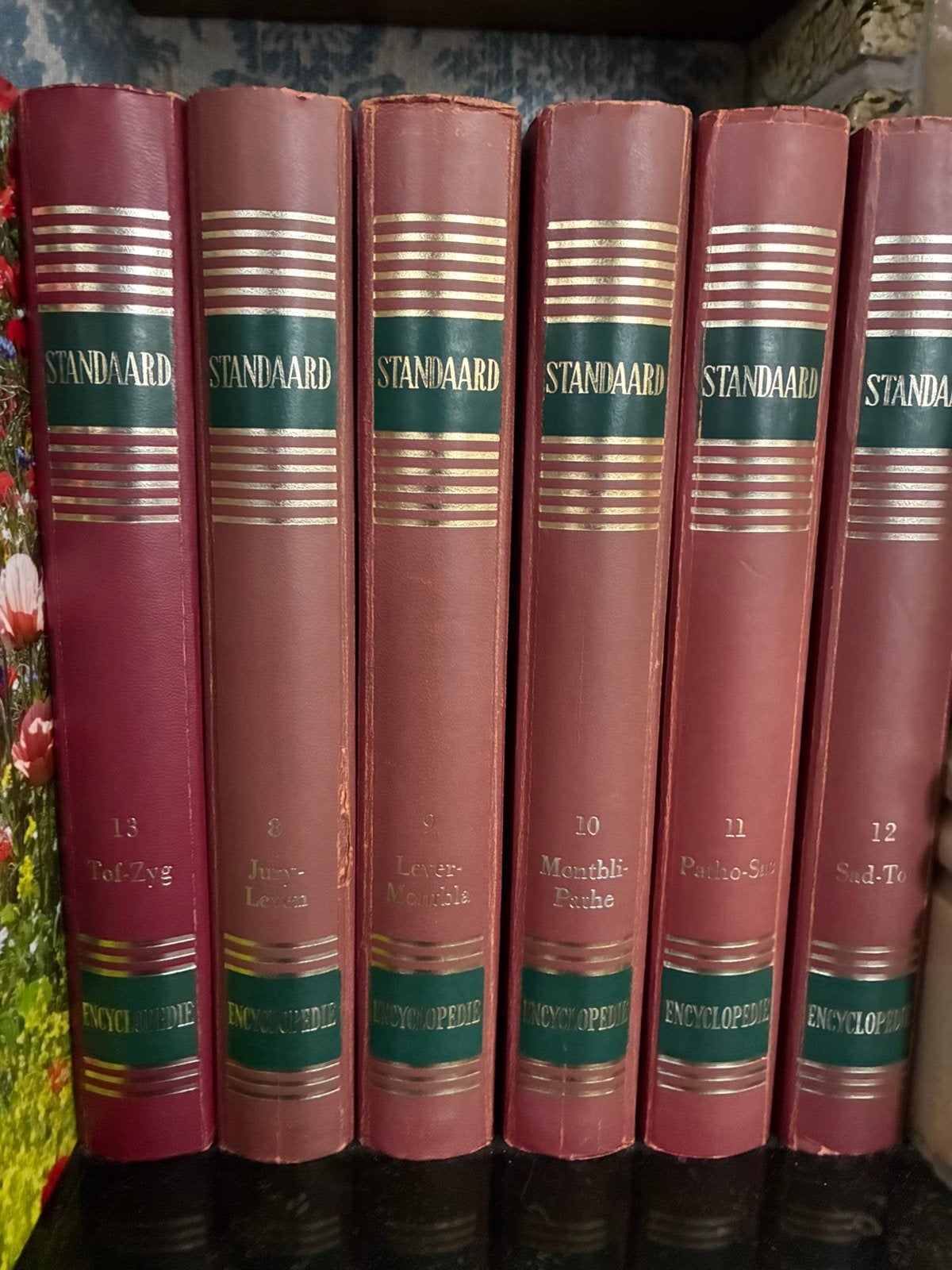 Encyclopedie standaard - gratis af te halen in Eeklo - 13 st, Enlèvement, Comme neuf
