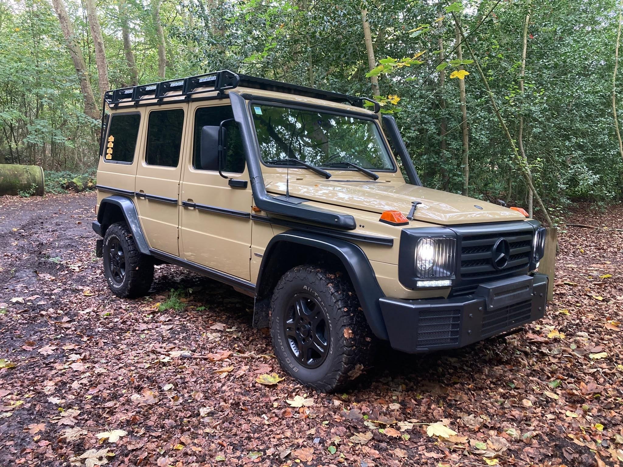 Mercedes-Benz G-Klasse 350 d + PROFFESSIONAL + LICHTE VRACHT, Autos, Argent ou Gris, Achat, 2987 cm³, Euro 6
