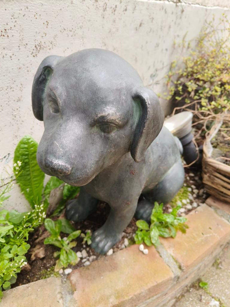 Stenen hondje voor buiten, Ophalen