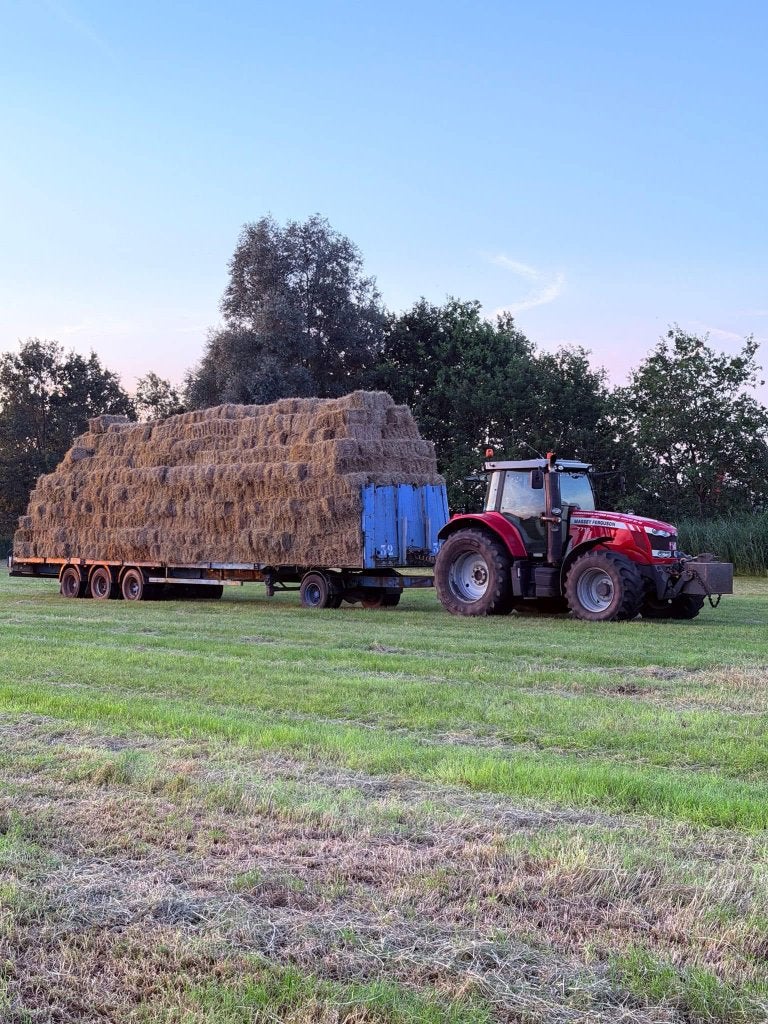 Kleine pakken hooi, Dieren en Toebehoren, Dierenvoeding, Ophalen, Vee
