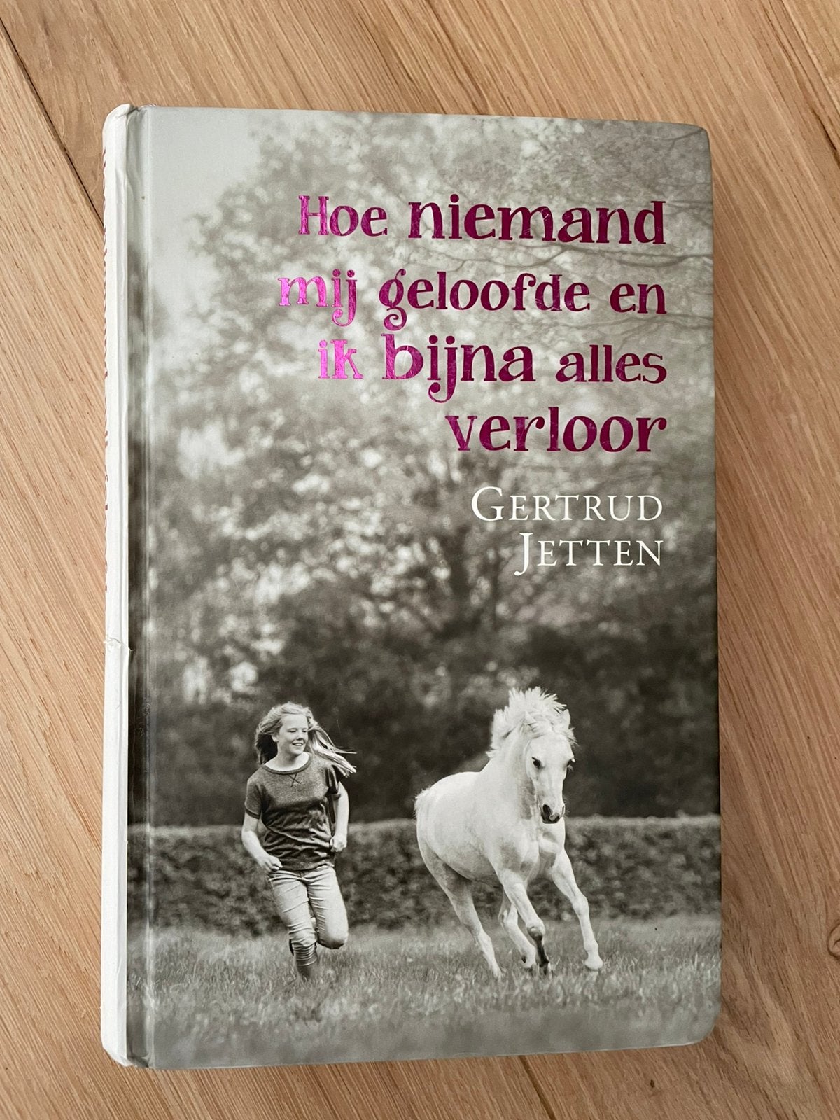 Hoe niemand mij geloofde en ik bijna alles verloor, Ophalen of Verzenden, Gertrud Jetten