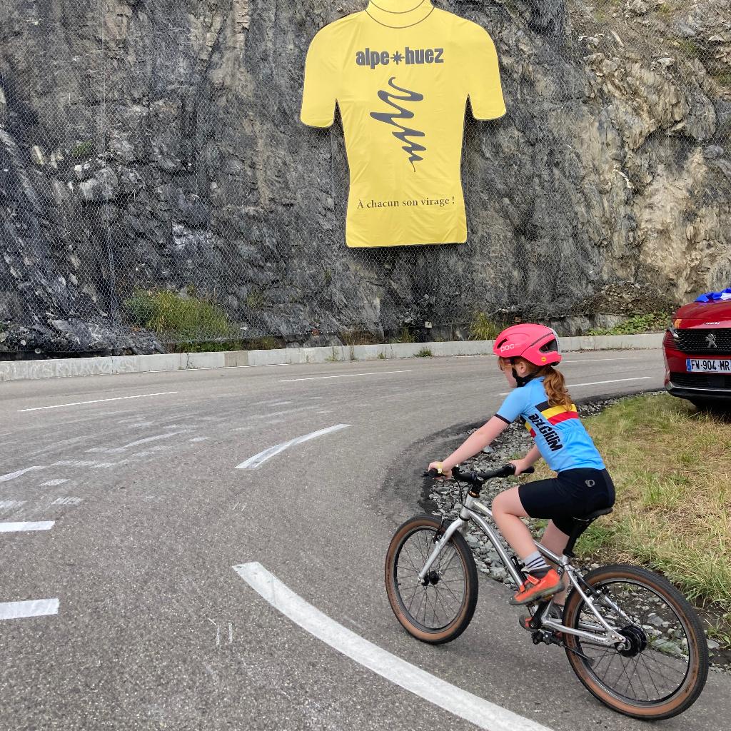 Early rider Belter - 20 inch - 2022, Ophalen, 20 inch of meer, Gebruikt, Velgrem