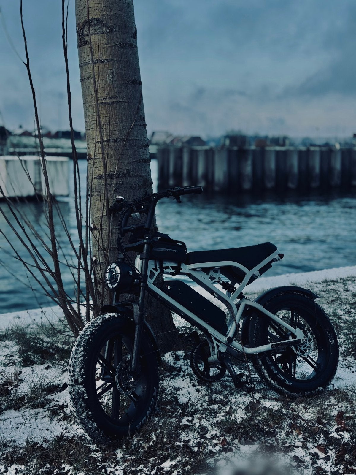 V20 ProFatbike Grijs Compleet €550 Voor Reparatie Onderdelen, Enlèvement, Comme neuf